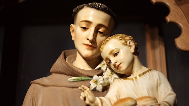St Anthony of Padua