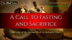 Mass Reading and Gospel Reflection January 6th