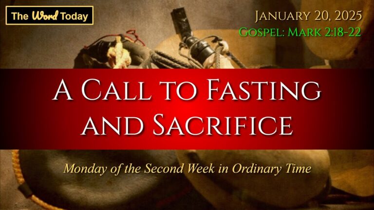 Mass Reading and Gospel Reflection January 6th