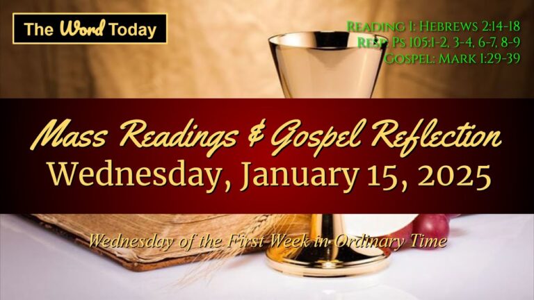 Mass Reading and Gospel Reflection January 6th