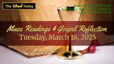 Mass Reading of the Day